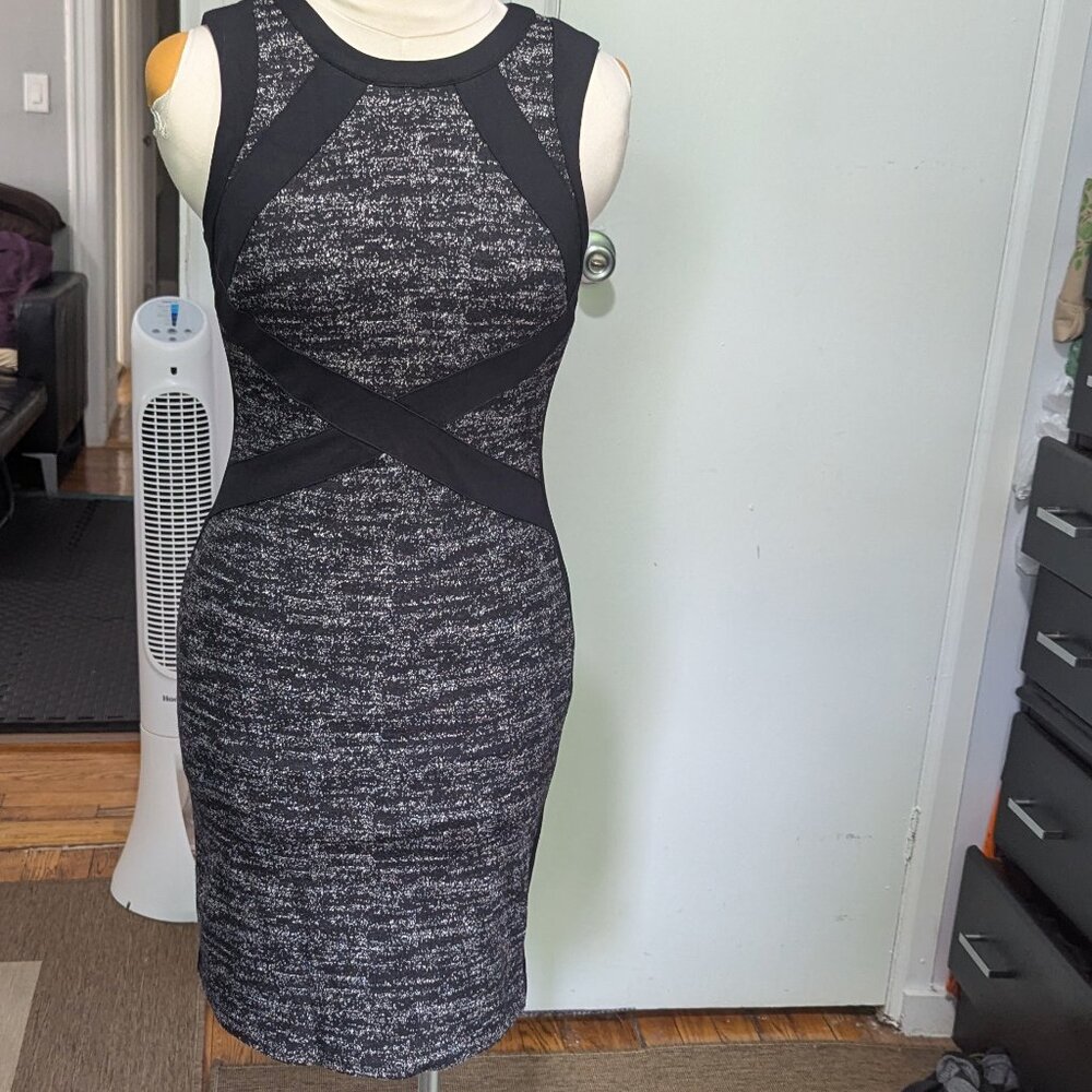 Adrianna Papell dress